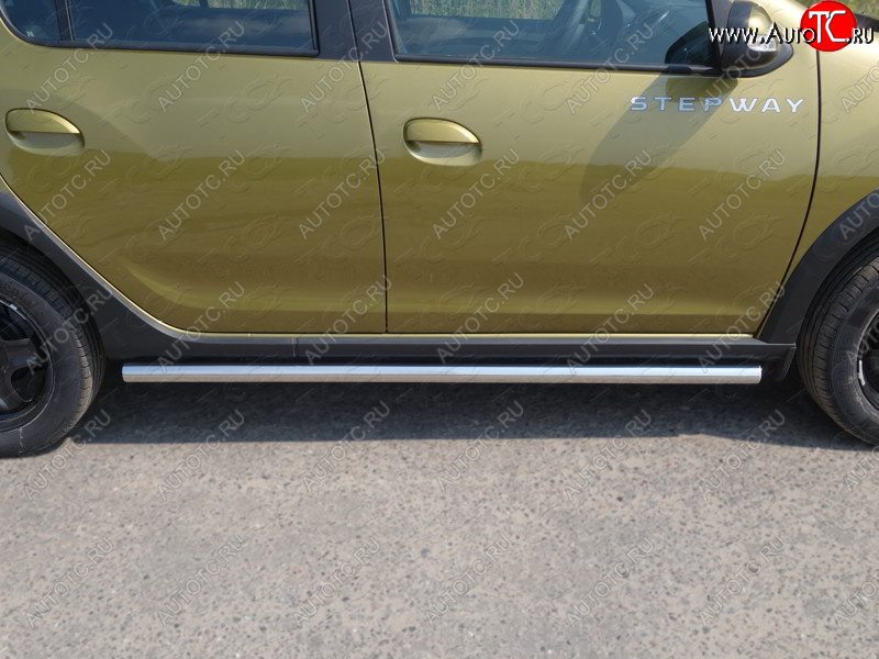 19 599 р. Защита порогов труба d60,3 мм ТСС Тюнинг  Renault Sandero Stepway  (B8) (2014-2018) дорестайлинг (серые)  с доставкой в г. Пермь