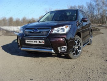 Защита переднего бампера овальная короткая 75х42 мм ТСС тюнинг Subaru Forester  SJ (2012-2016) дорестайлинг (нержавейка)