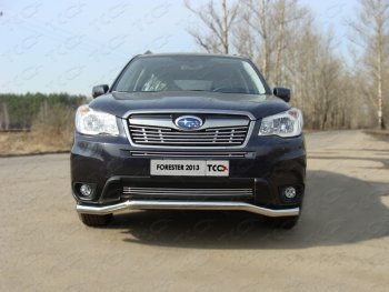 Средняя декоративная вставка в бампер ТСС Тюнинг Subaru Forester  SJ (2012-2016) дорестайлинг (d 12 мм)
