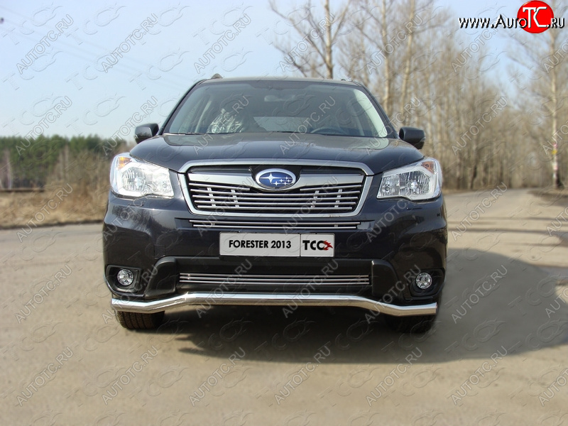 4 299 р. Нижняя декоративная вставка в бампер ТСС Тюнинг  Subaru Forester  SJ (2012-2016) дорестайлинг (d 12 мм)  с доставкой в г. Пермь
