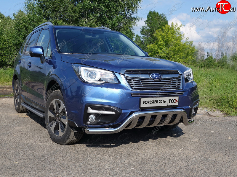 8 799 р. Верхняя декоративная вставка решетки радиатора ТСС Тюнинг  Subaru Forester  SJ (2016-2019) рестайлинг (d 12 мм)  с доставкой в г. Пермь