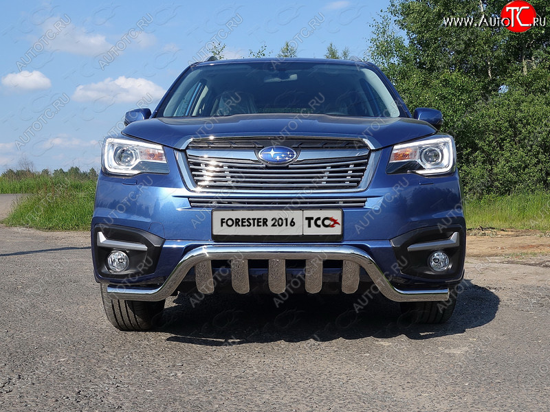 2 899 р. Средняя декоративная вставка в бампер ТСС Тюнинг  Subaru Forester  SJ (2016-2019) рестайлинг (d 12 мм)  с доставкой в г. Пермь