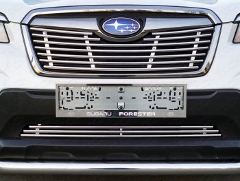 Верхняя декоративная вставка решетки радиатора ТСС Тюнинг Subaru Forester  SK/S14 (2018-2021) дорестайлинг (d 12 мм)