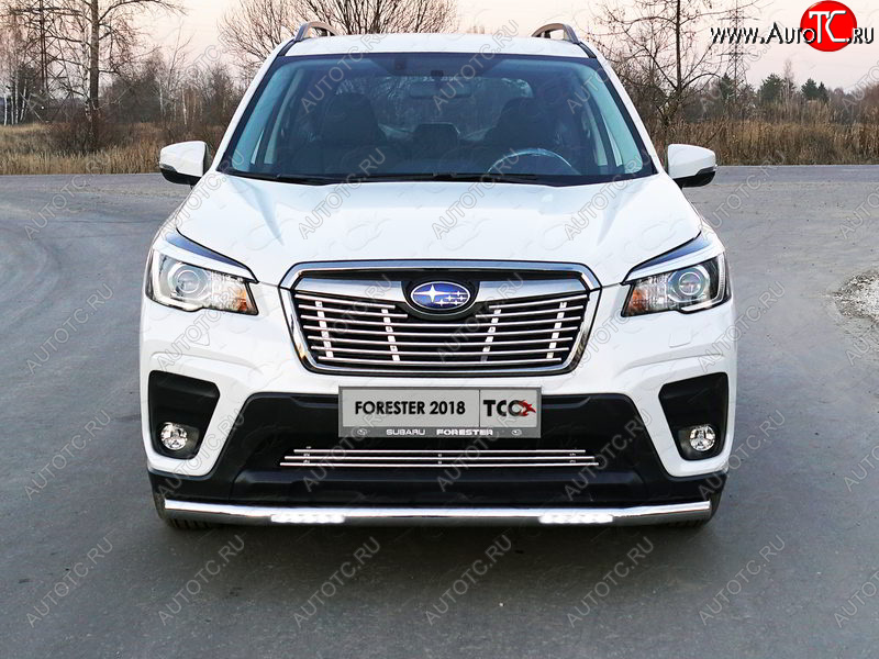 39 749 р. Защита переднего бампера нижняя с ДХО 60,3 мм ТСС Тюнинг Subaru Forester SK/S14 дорестайлинг (2018-2021) (нержавейка)  с доставкой в г. Пермь