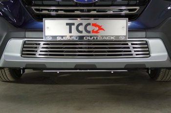 Декоративная вставка переднего бампера ТСС Тюнинг Subaru Outback  BT (2019-2025) универсал (d 12 мм)