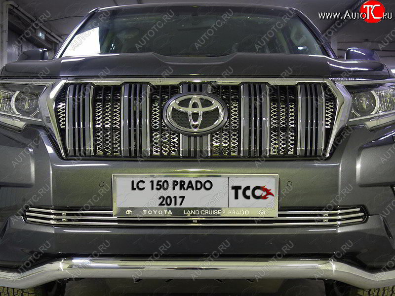 7 349 р. Нижняя декоративная вставка в бампер ТСС Тюнинг  Toyota Land Cruiser Prado  J150 (2017-2020) 2-ой рестайлинг (d 12 мм)  с доставкой в г. Пермь
