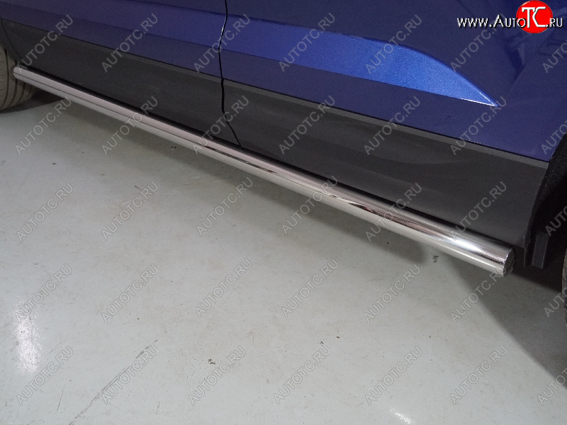 24 949 р. Защита порогов труба d60,3 мм ТСС Тюнинг  Volkswagen Taos (2020-2022) (серые)  с доставкой в г. Пермь