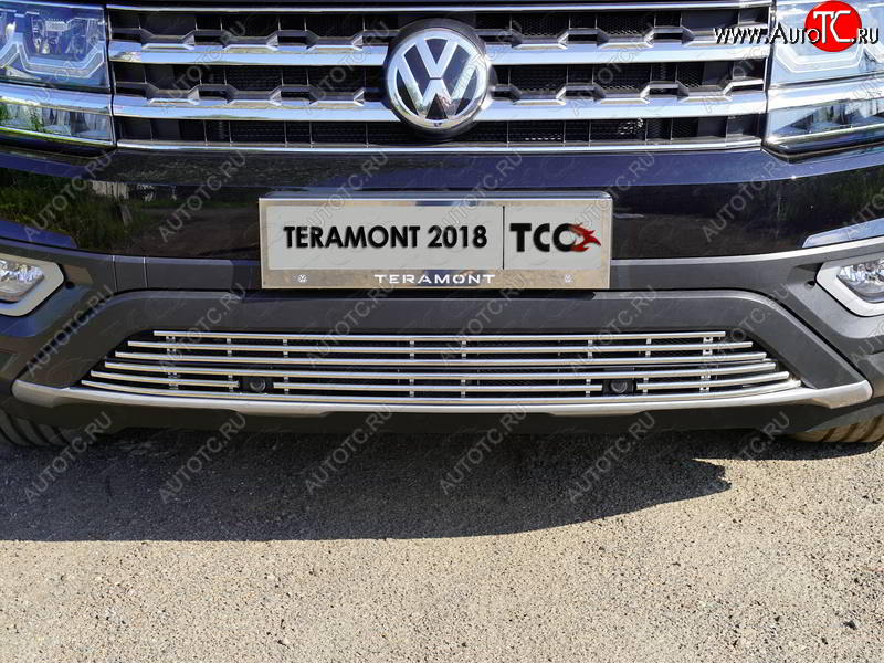 8 799 р. Нижняя декоративная вставка в бампер (с парктроником) ТСС Тюнинг  Volkswagen Teramont  CA1 (2016-2020) дорестайлинг (d 12 мм)  с доставкой в г. Пермь