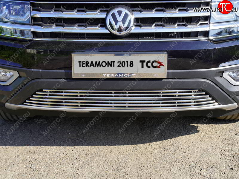 8 799 р. Нижняя декоративная вставка в бампер ТСС Тюнинг  Volkswagen Teramont  CA1 (2016-2020) дорестайлинг (d 12 мм)  с доставкой в г. Пермь
