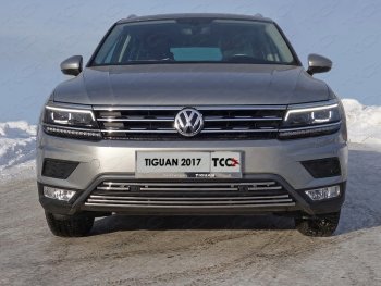 Верхняя декоративная вставка решетки радиатора (пакет Offroad) ТСС Тюнинг Volkswagen Tiguan Mk2 дорестайлинг (2016-2020) (d 16 мм)