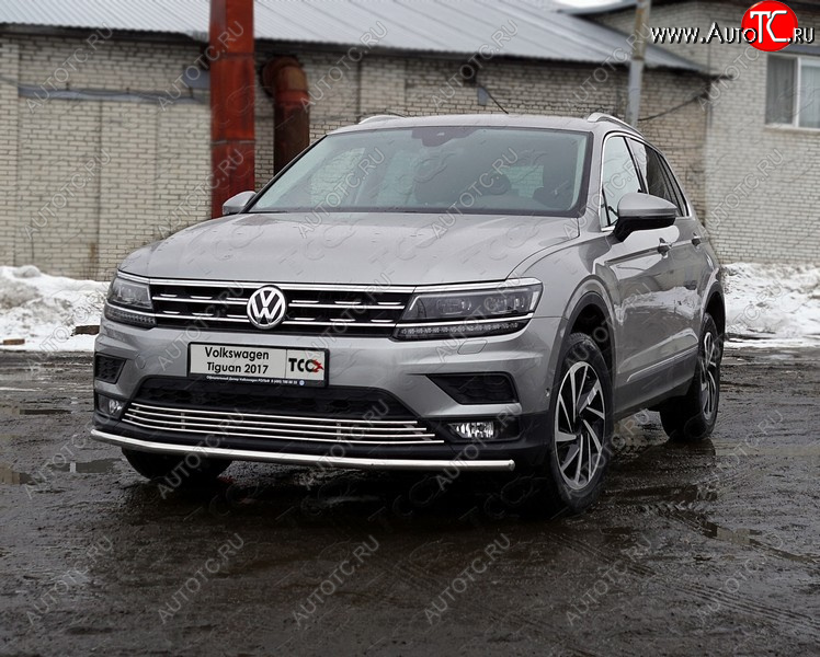 16 699 р. Защита переднего бампера нижняя d42,4 мм ТСС Тюнинг  Volkswagen Tiguan  Mk2 (2016-2020) дорестайлинг (нержавейка)  с доставкой в г. Пермь
