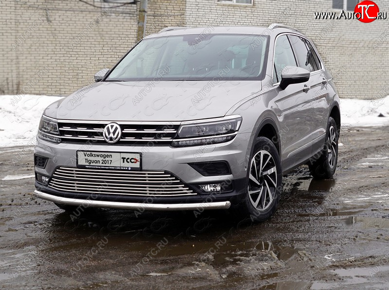 17 999 р. Защита переднего бампера нижняя d60,3 мм ТСС Тюнинг  Volkswagen Tiguan  Mk2 (2016-2020) дорестайлинг (нержавейка)  с доставкой в г. Пермь