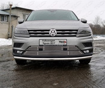 Верхняя декоративная вставка решетки радиатора ТСС Тюнинг Volkswagen Tiguan Mk2 дорестайлинг (2016-2020) (d 12 мм)