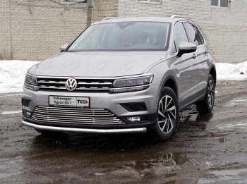 Декоративная вставка переднего бампера (без парктроников) ТСС Тюнинг Volkswagen Tiguan  Mk2 (2016-2020) дорестайлинг (d 12 мм)