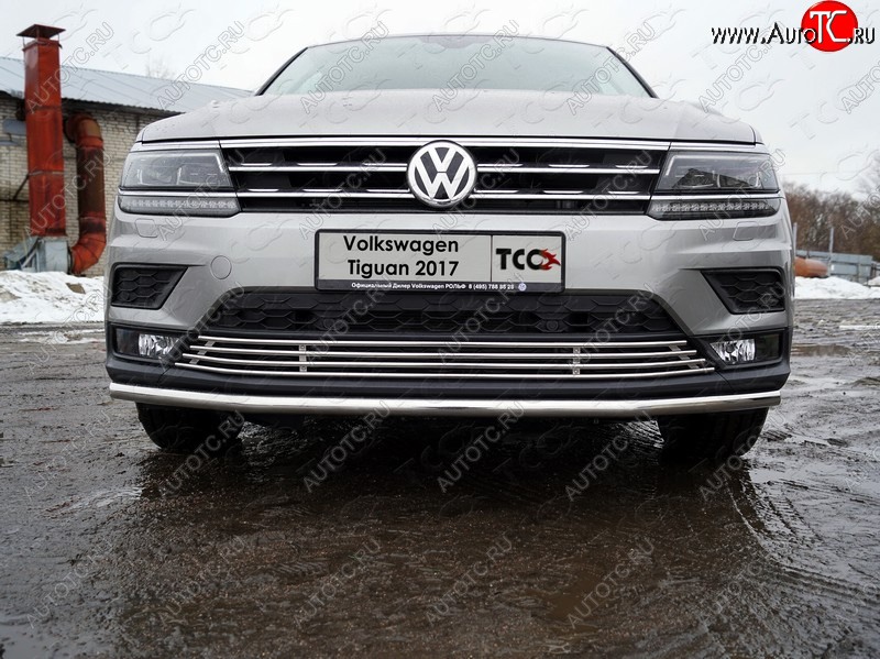 7 349 р. Нижняя декоративная вставка в бампер ТСС Тюнинг  Volkswagen Tiguan  Mk2 (2016-2020) дорестайлинг (d 12 мм)  с доставкой в г. Пермь