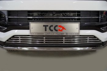 Декоративная вставка переднего бампера ТСС Тюнинг Москвич 3  DA21 (2022-2025) (d 12 мм)
