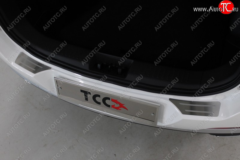 3 099 р. Накладки на задний бампер, ТСС Тюнинг  Chery Tiggo 7 PRO (2019-2025) (лист шлифованный с полосой)  с доставкой в г. Пермь