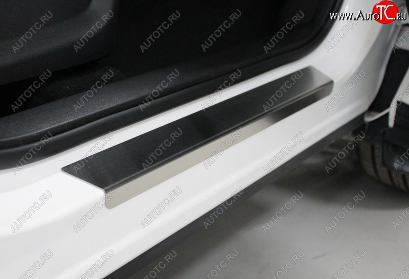 3 879 р. Накладки на пороги, ТСС Тюнинг  Chery Tiggo 7 PRO (2019-2025) (лист шлифованный)  с доставкой в г. Пермь