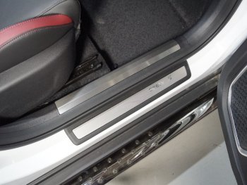 Накладки на пластиковые пороги, ТСС Тюнинг Geely Coolray  SX11 (2018-2023) дорестайлинг (лист шлифованный)