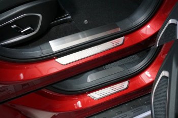 Накладки на пластиковые пороги, ТСС Тюнинг Geely Tugella  FY11,HPBA4 (2019-2025) дорестайлинг, рестайлинг (лист шлифованный)