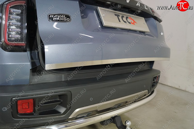 1 499 р. Накладка на заднюю дверь, ТСС Тюнинг  Haval Dargo (2022-2025) (Лист шлифованный)  с доставкой в г. Пермь