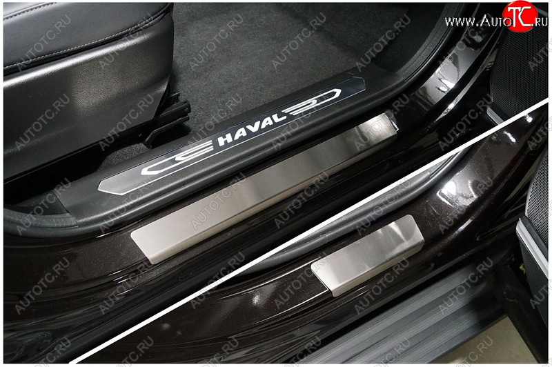 2 399 р. Накладки на пороги, ТСС Тюнинг  Haval F7x (2022-2024) рестайлинг (лист шлифованный)  с доставкой в г. Пермь