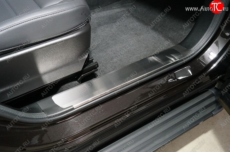 2 989 р. Накладки на пластиковые пороги, ТСС Тюнинг  Haval F7x (2022-2024) рестайлинг (лист шлифованный)  с доставкой в г. Пермь
