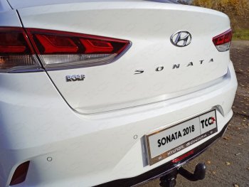 Накладка на заднюю дверь ТСС Тюнинг Hyundai Sonata LF рестайлинг (2017-2019) (Лист шлифованный)