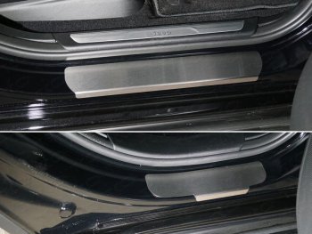 Накладки на пороги, ТСС Тюнинг Jeep Grand Cherokee  WK2 (2013-2018) 1-ый рестайлинг (лист шлифованный)