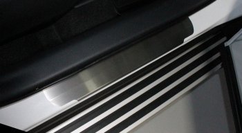 Накладки на пороги ТСС Тюнинг Toyota RAV4  XA50 (2018-2025) 5 дв. дорестайлинг (лист шлифованный)