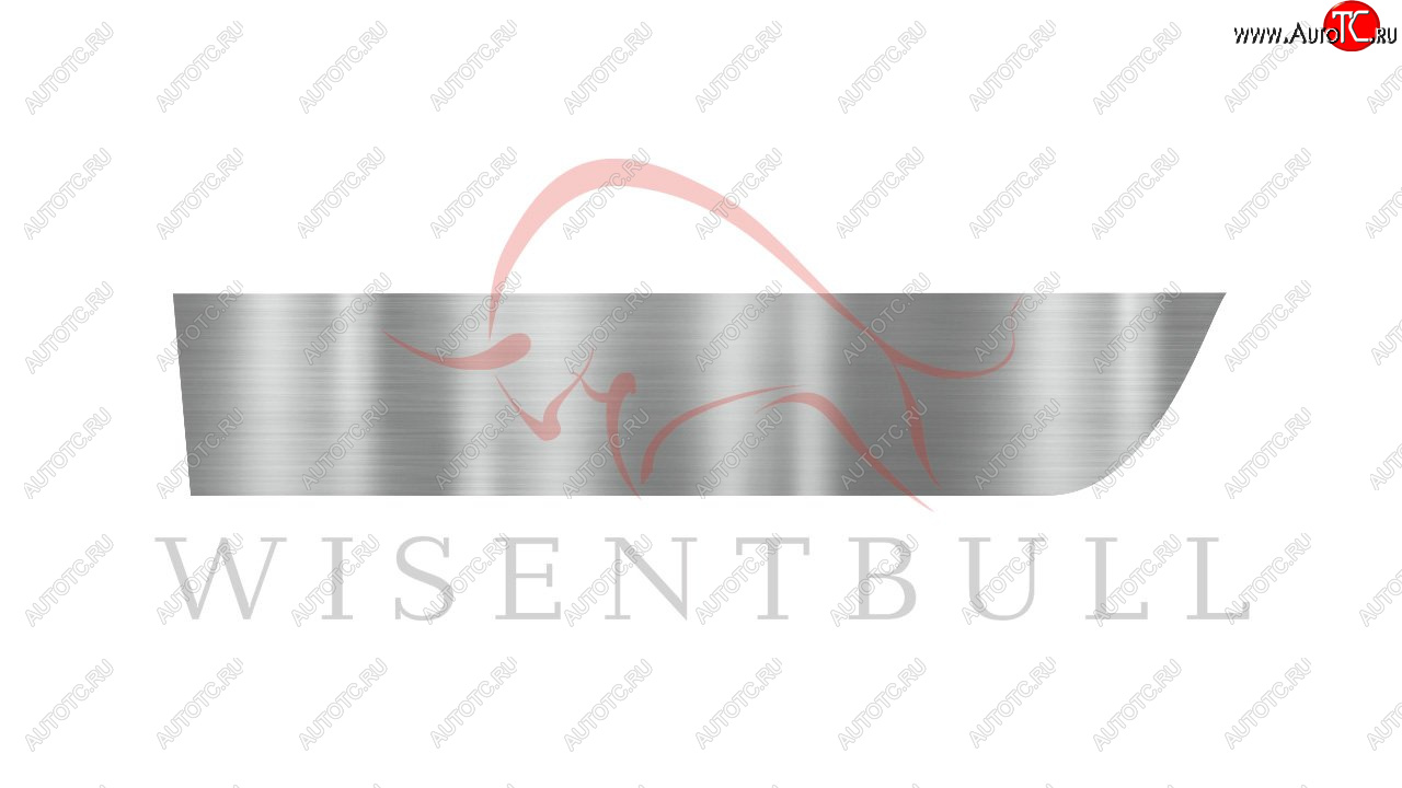 1 989 р. Ремкомплект левой двери Wisentbull  BMW 3 серия  E92 (2005-2014) купе дорестайлинг, купе рестайлинг  с доставкой в г. Пермь