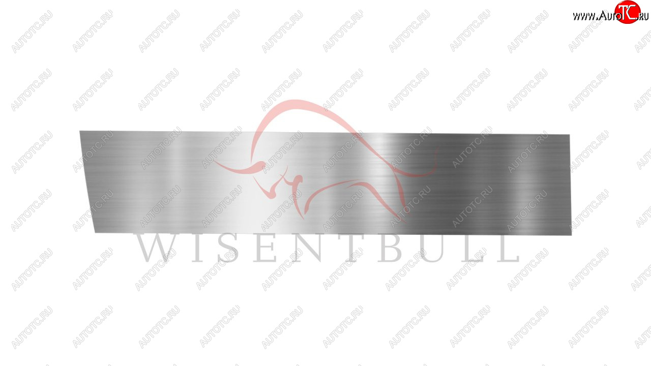 1 989 р. Ремкомплект левой двери Wisentbull  CITROEN C3  FC/FN (2002-2009) хэтчбэк  с доставкой в г. Пермь
