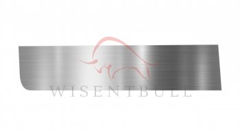 Ремкомплект передней левой двери Wisentbull KIA Carnival ( UP,CQ,  UP,GQ) (1998-2006) минивэн дорестайлинг, минивэн рестайлинг
