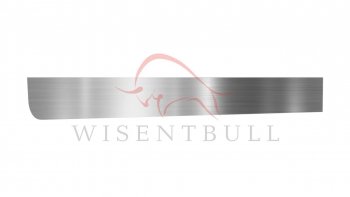 Ремкомплект левой двери Wisentbull ИжАвто Ода  2717 Версия (1991-2005), Лада 2104 (1984-2012), Лада 2105 (1979-2010), Лада 2107 (1982-2012)