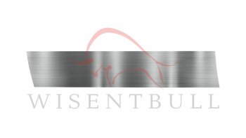 Ремкомплект левой двери Wisentbull Lexus IS300  XE10 седан (1998-2005), Toyota Altezza (1998-2005)