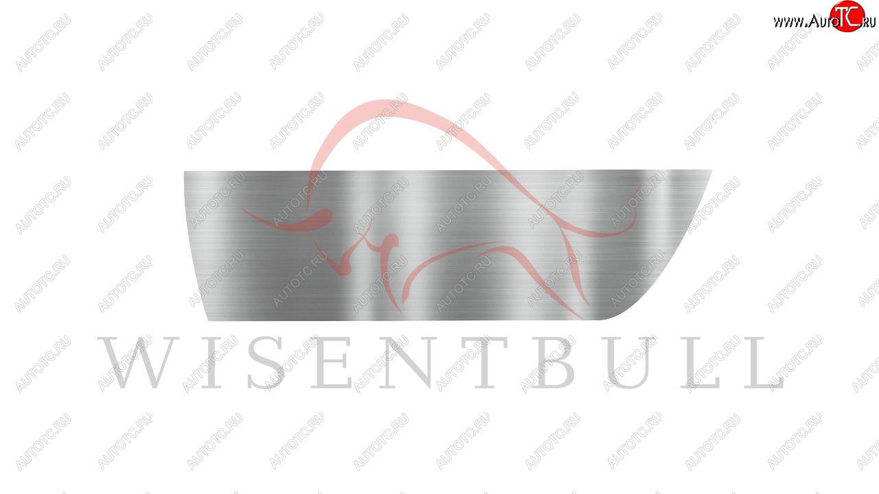 1 989 р. Ремкомплект левой двери Wisentbull  Nissan Almera  N16 - Sunny  N16  с доставкой в г. Пермь