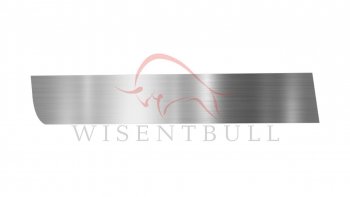 Ремкомплект левой двери Wisentbull Nissan Primera ( 2 хэтчбэк,  2 седан,  2 универсал) (1995-2003) P11 дорестайлинг, P11 рестайлинг