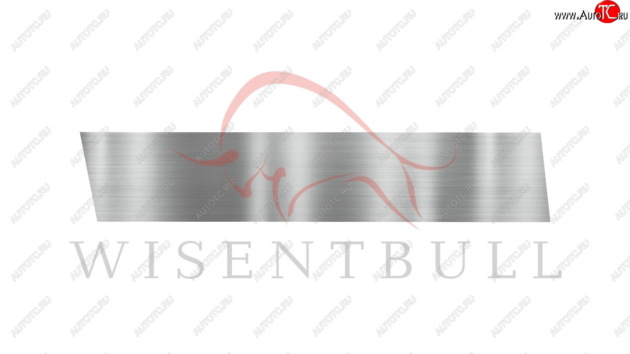 1 989 р. Ремкомплект левой двери Wisentbull  Toyota Opa (2000-2005)  с доставкой в г. Пермь