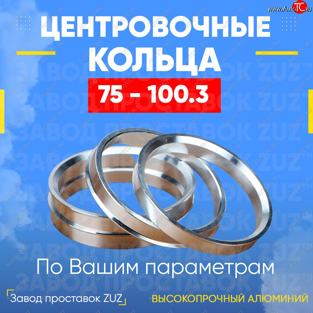 1 849 р. Центровочные кольца для дисков 75 - 100.3 (алюминиевые) 4шт. переходные центрирующие проставочные супинаторы на ступицу ЗАВОД ПРОСТАВОК ZUZ 75 - 100.3  с доставкой в г. Пермь