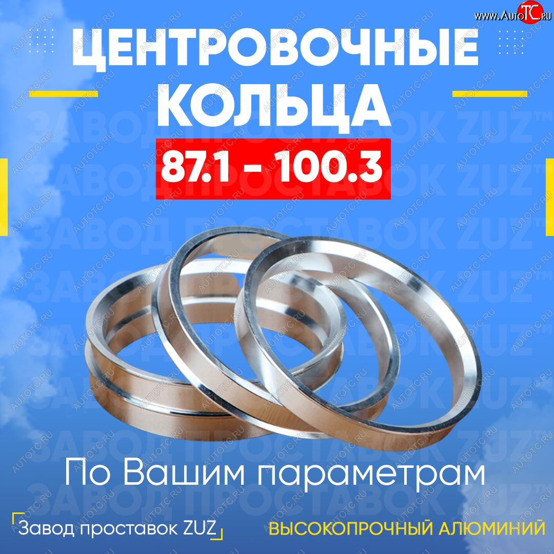 1 849 р. Центровочные кольца для дисков 87.1 - 100.3 (алюминиевые) 4шт. переходные центрирующие проставочные супинаторы на ступицу ЗАВОД ПРОСТАВОК ZUZ 87.1 - 100.3  с доставкой в г. Пермь