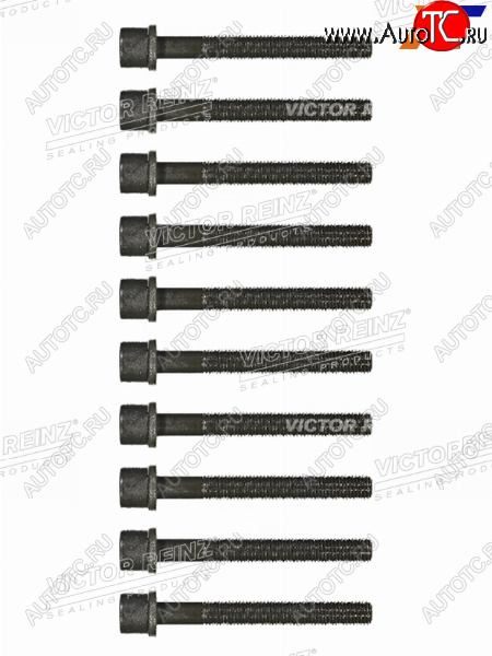 1 299 р. Комплект болтов  ГБЦ VAG 80100A6PASSAT AAMAAEAADABK VICTOR REINZ 14-32046-01  с доставкой в г. Пермь