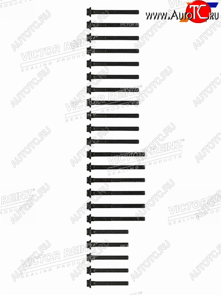 2 899 р. Комплект болтов  ГБЦ MBSSANGYONG  E(W210)G(W461W463)SPRINTER KORANDO OM662 VICTOR REINZ 14-32031-02  с доставкой в г. Пермь