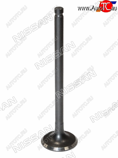1 779 р. Клапан выпускной NISSAN ALMERA 06-12  QG16 NISSAN 13202-95F0B  с доставкой в г. Пермь