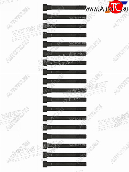 3 199 р. Комплект болтов ГБЦ MITSUBISHI PAJEROL200 4D56 VICTOR REINZ 14-55015-01  с доставкой в г. Пермь