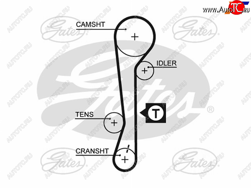 1 449 р. Ремень ГРМ HYUNDAI ACCENT 1.61.4 16V 06-KIA RIO1.41.6 16V 05-11CERATO 04-09 GATES 5479XS  с доставкой в г. Пермь