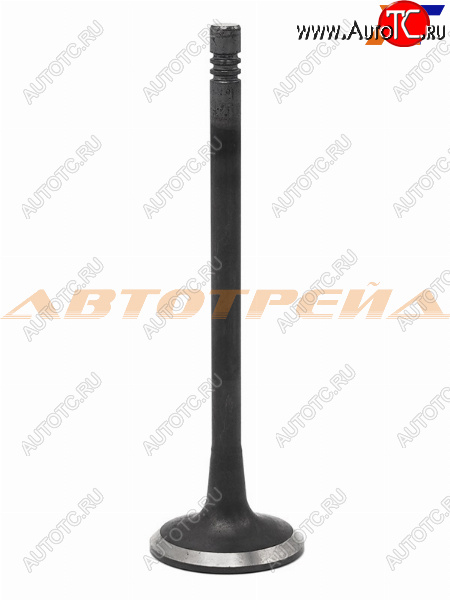 419 р. Клапан выпускной (1 шт) CHEVROLET AVEOSPARK 1,01,2 08- SHINHAN 96463003  с доставкой в г. Пермь