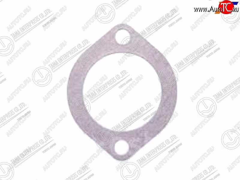 96 р. Прокладка корпуса термостата MAZDA B5B6Z5ZLFE TAMA P401  с доставкой в г. Пермь