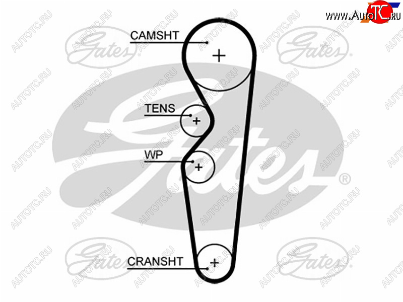 1 849 р. Ремень ГРМ CHERY BONUS AMULETFORD ESCORTORIONFIESTA 1,6 CVH 92-00 GATES 5665XS  с доставкой в г. Пермь