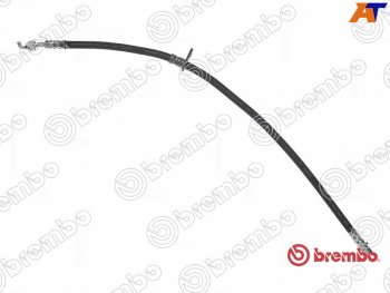 Шланг тормозной передний LH=RH BREMBO Lexus ES300  XV30 (2001-2006), Toyota Camry  XV30 (2001-2006)
