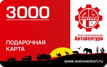 2 999 р. Карта подарочная 3000  gc3000  с доставкой в г. Пермь. Увеличить фотографию 1